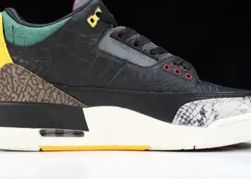 CV3583-003 3 “ANIMAL SE INSTINCT JORDAN AIR 2.0” 0619